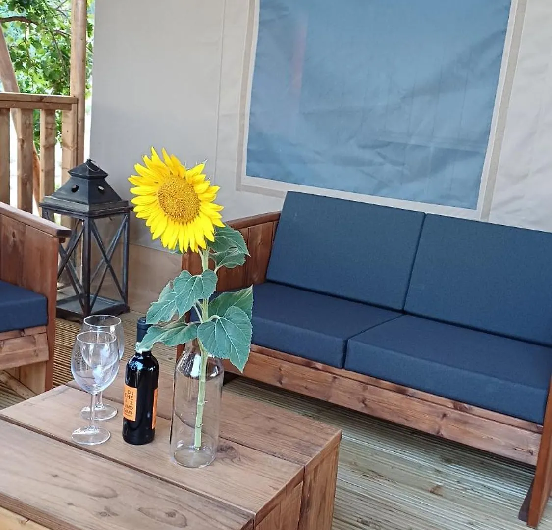 Glamping Podere Angiotto Lodge Lavanda Magliano in Toscana