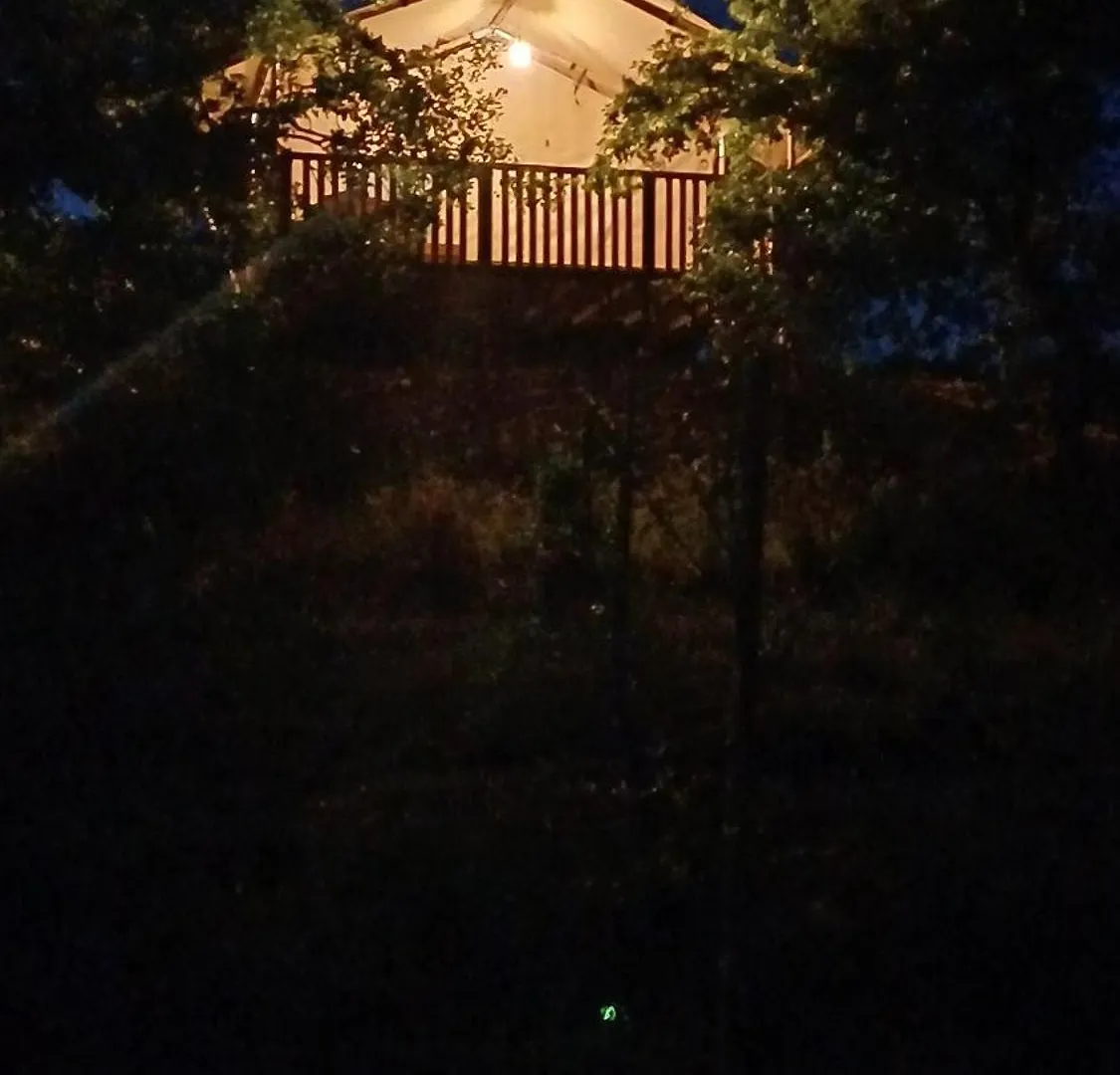 Glamping Podere Angiotto Lodge Lavanda Magliano in Toscana 0*,  Italien