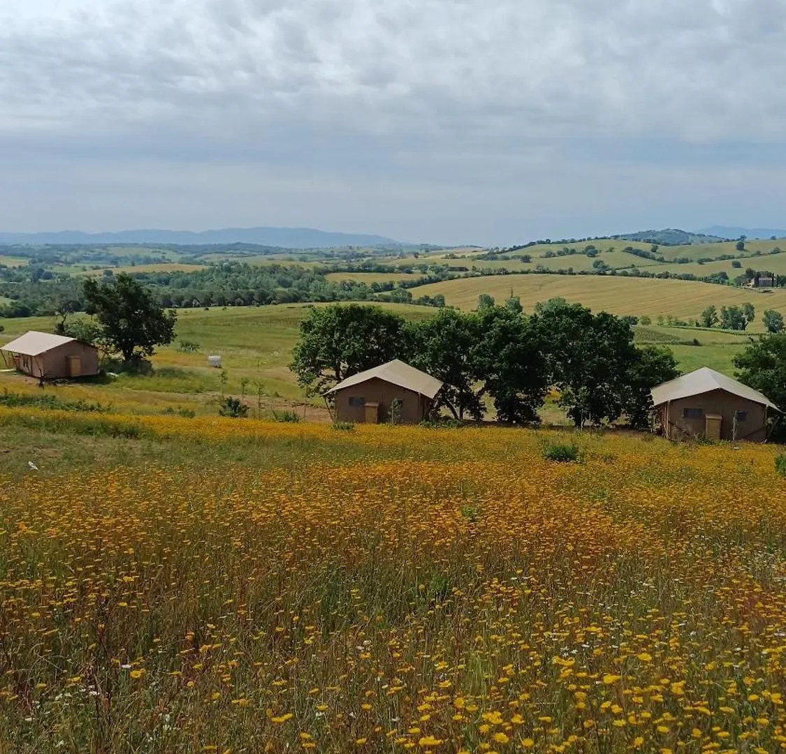Glamping Podere Angiotto Lodge Lavanda Magliano in Toscana Luksustelt