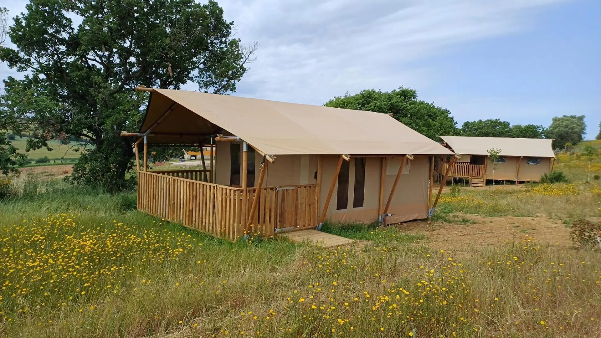 Glamping Podere Angiotto Lodge Lavanda Magliano in Toscana Luksustelt