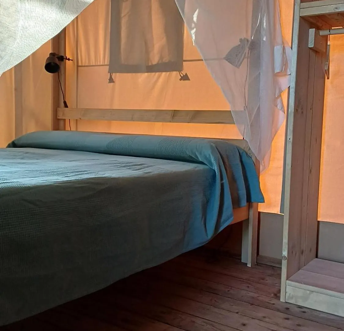 Glamping Podere Angiotto Lodge Lavanda Magliano in Toscana